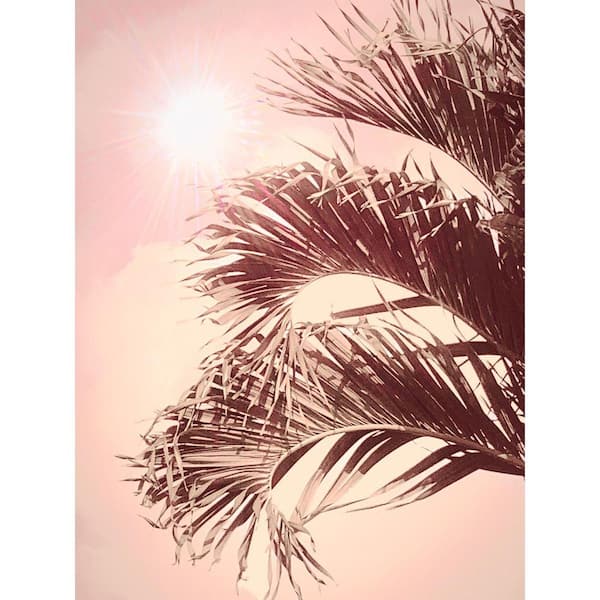Three Tropical Pink Fronds by Grotto Studios Unframed Graphic Print Poster Art Print 24 in x 18 in.