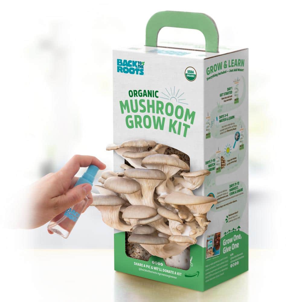 2 x Kits Morel Wet & Dry Mushroom Spores Seeds Makes 5 gals each Gourmet 