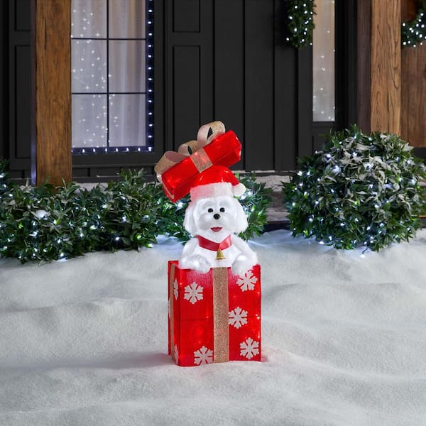 3 ft Yuletide Land LED Maltese in Gift Box Y20