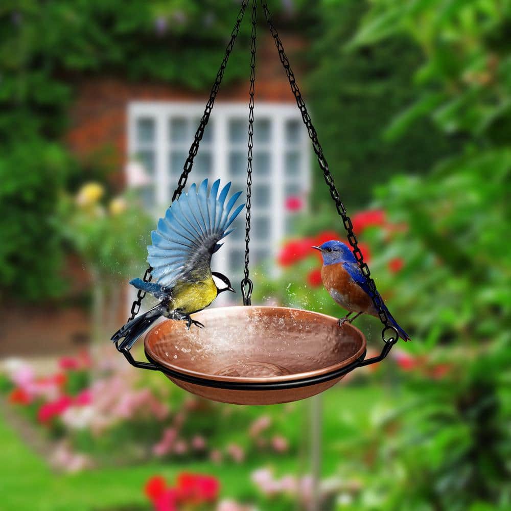 Copper Hand Hammered Hanging Bird Bath with Black Chain