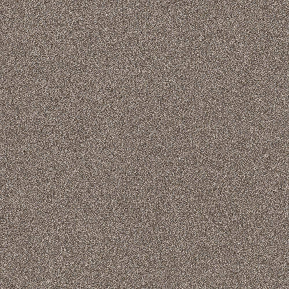 8 in x 8 in.  Texture Carpet Sample - Columbus I - Color Silverado price history on PriceWatchPro