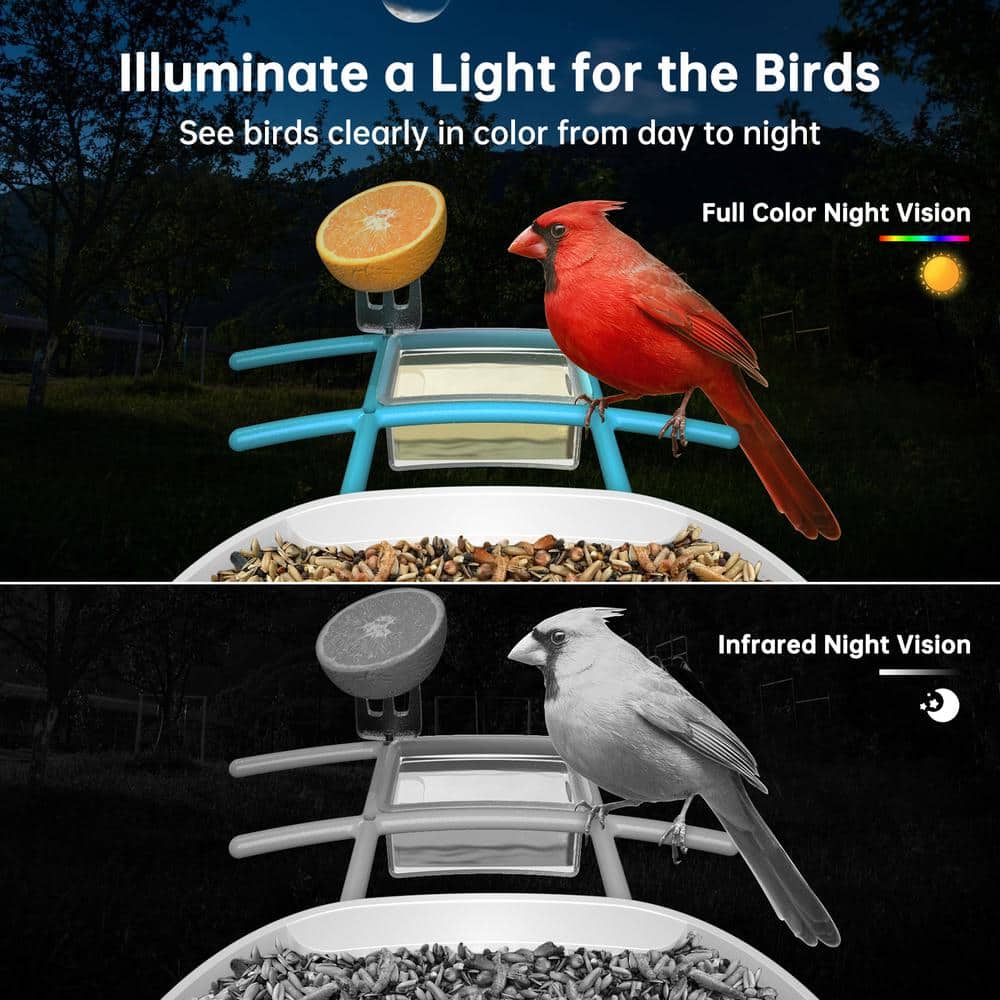 Blue and White Plastic Smart Bird Feeder with Camera
