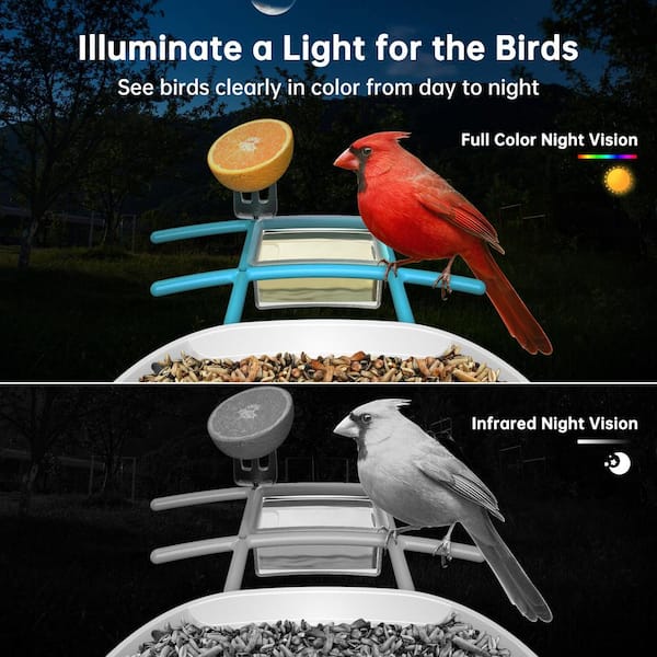 smonet Smart Bird Feeder With Camera-2L Birdhouse Solar Powered-AI