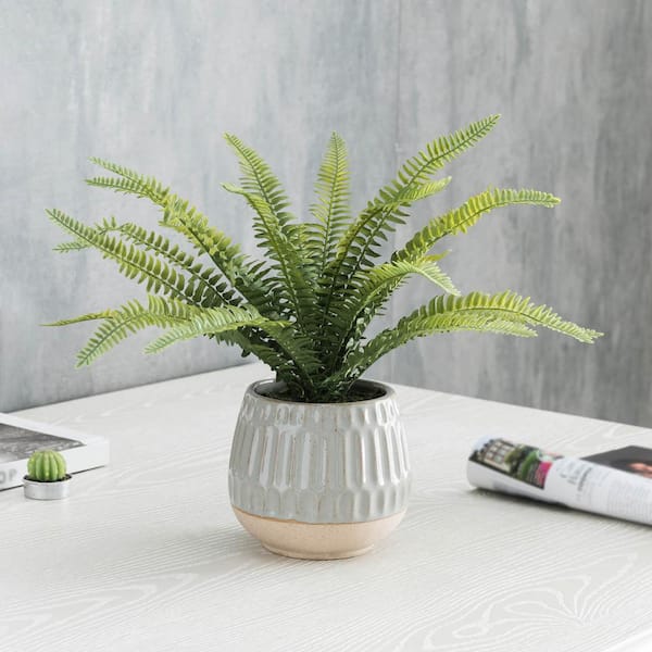 Unbranded Artificial Boston Fern in Glazed Pot