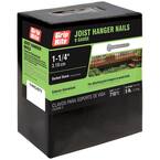 #9 x 1-1/4 in. 12-Penny Hot Galvanized Steel Joist Hanger Nails (5 lb.-Pack)