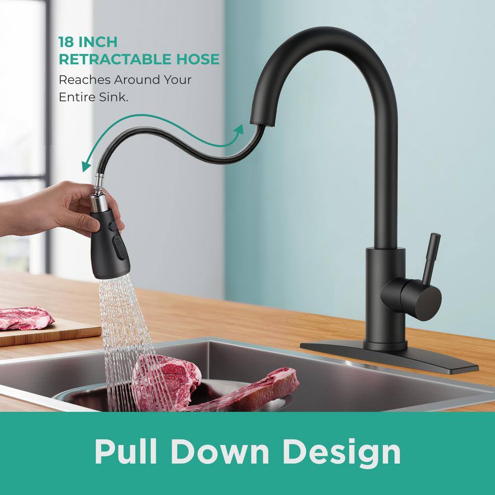 Matte Black Stainless Steel Pull-Down Kitchen Faucet