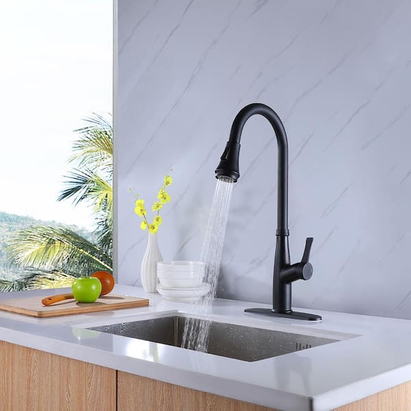 Unbranded Single Handle 2-Spray Pull Out Sprayer Kitchen Faucet, 1.6 GPM Kitchen Sink Tap in Matt Black (Deckplate Included)