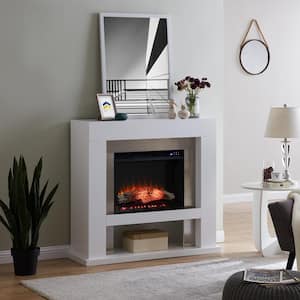 Alliane 44 in. Stainless Steel Surround Electric Fireplace in White