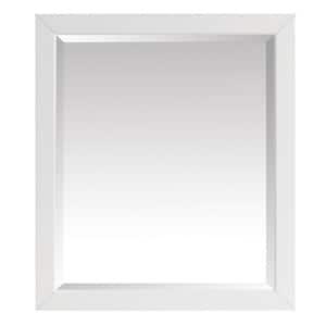 SECO 24 in. x 36 in. White Snap Frame SN2436WHITE - The Home Depot