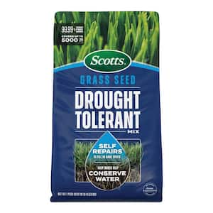 Grass Seed Drought Tolerant Mix 10 lb. 5,000 sq. ft. Kentucky Bluegrass and Tall Fescue Grass Seed Mix