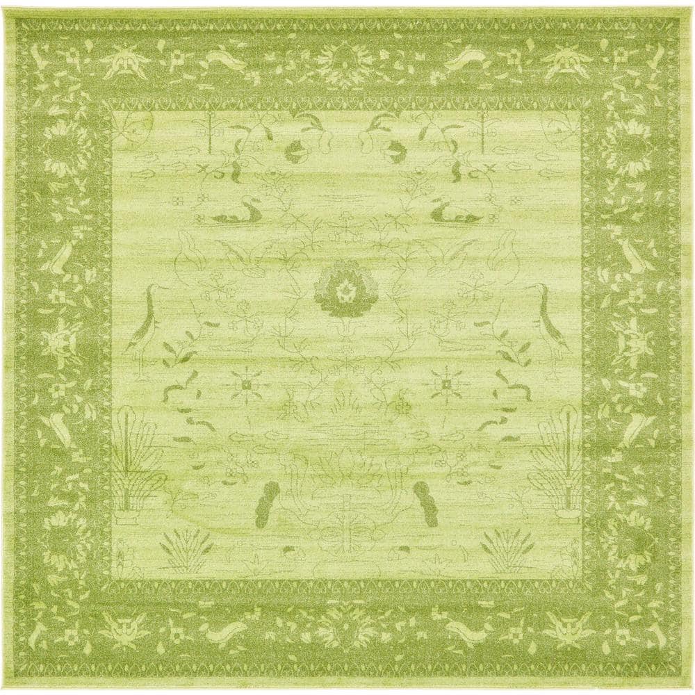 La Jolla Floral Light Green 10' 0 x 10' 0 Square Rug price history on PriceWatchPro