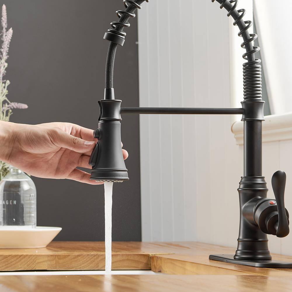 Matte Black Pull-Down Kitchen Faucet with Pull-out Spray