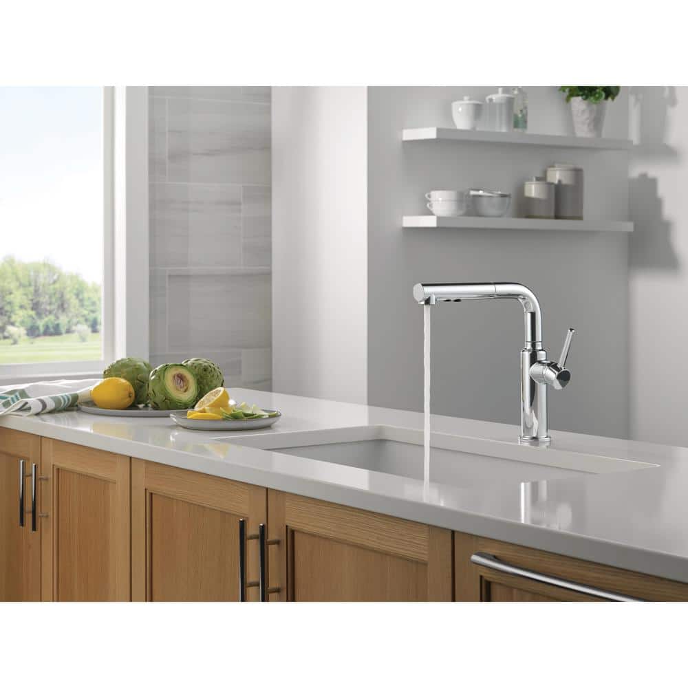 Daneri Chrome Pull-Out Sprayer Kitchen Faucet with Lever Handle