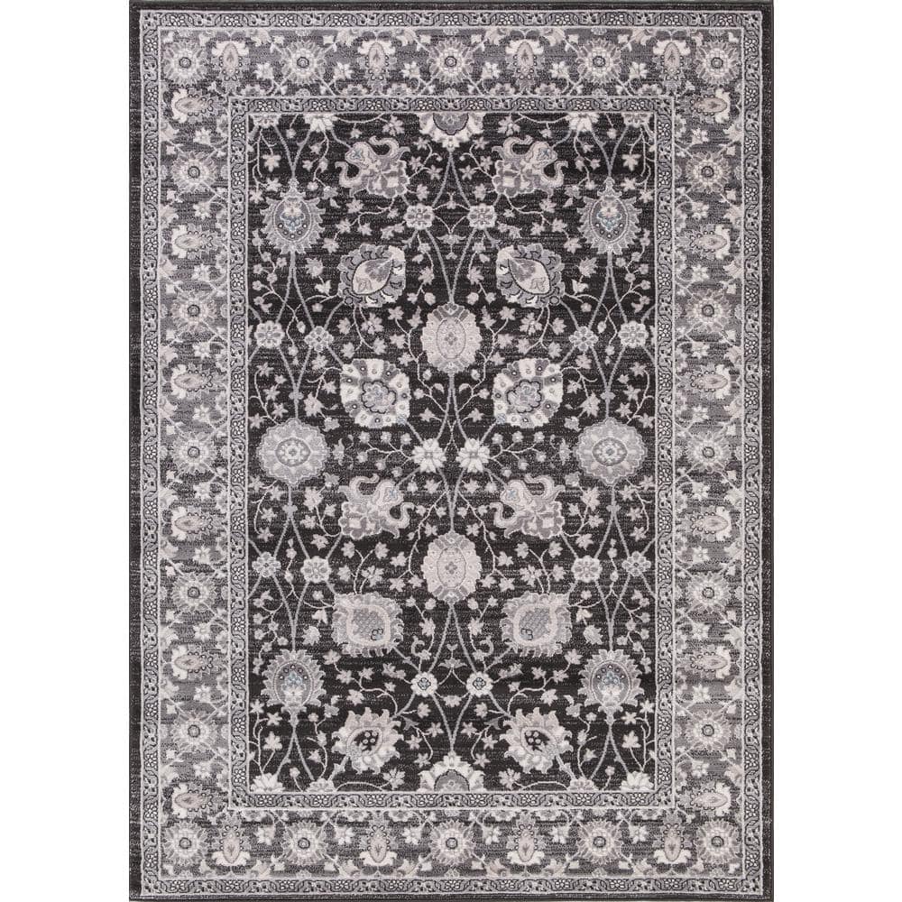 Lara Vase Anthracite 3 ft. x 4 ft. Area Rug price history on PriceWatchPro