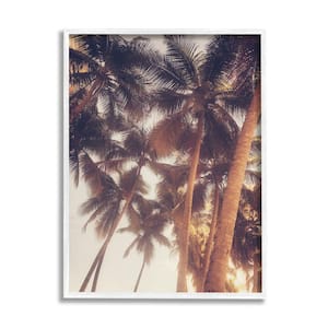 Sun Bleached Palm Tree Tops Vintage Summer Sky By Acosta Framed Print Nature Texturized Art 24 in. x 30 in.