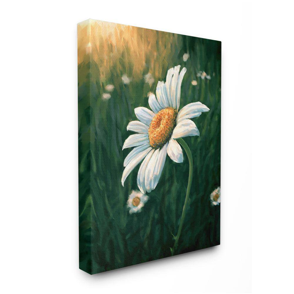 Stupell Industries Daisy Details in Field of Spring Flowers by Ziwei Li Unframed Nature Canvas Wall Art Print 24 in. x 30 in., Green -  ab-917_cn_24x30
