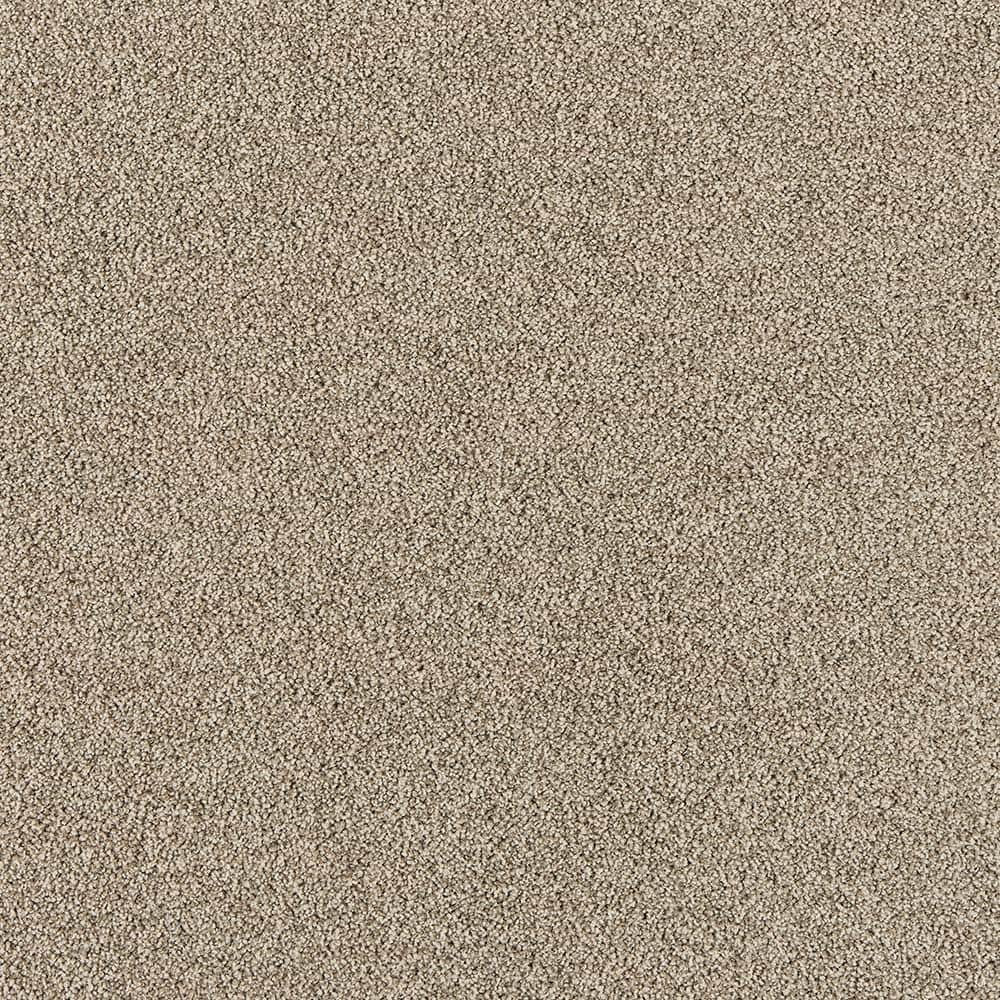 8 in. x 8 in. Texture Carpet Sample - Tailored Trends I -Color Regal price history on PriceWatchPro