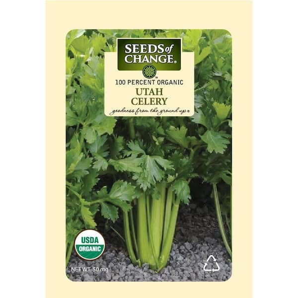 50 mg Utah Celery Seeds