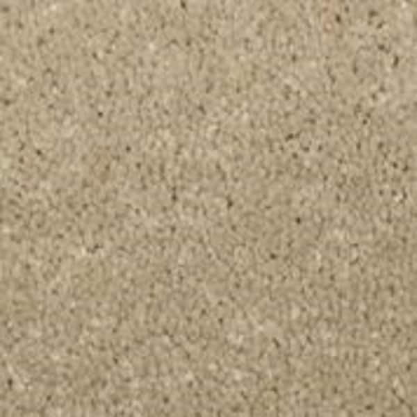 Home Decorators Collection Sycamore I - Linden - Brown 45 oz. SD Polyester Texture Carpet - Installation Required