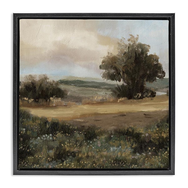 Vast Country Terrain by Cloverfield and Co. Black Floater Frame Nature Graphic Art Print 25 in. x 25 in.