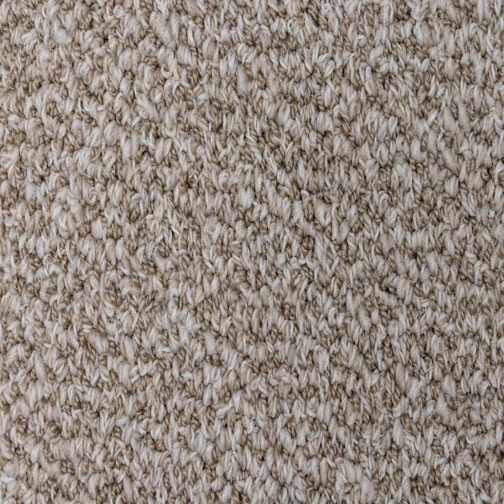 8 in. x  8 in. Loop Carpet Sample - Mcdonald Street -Color Foxgrove price history on PriceWatchPro