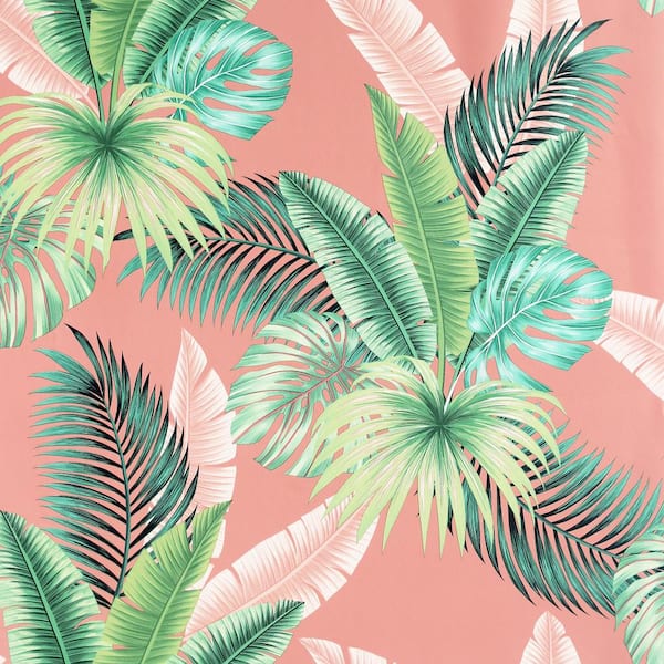 Pink Tropical Wallpapers  Top Free Pink Tropical Backgrounds   WallpaperAccess