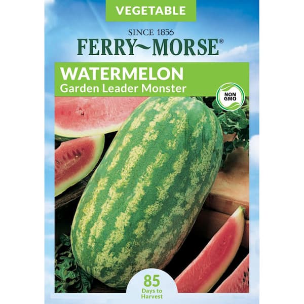 Ferry-Morse Watermelon Garden Leader Monster Giant Fruit Seed 4099 - The  Home Depot