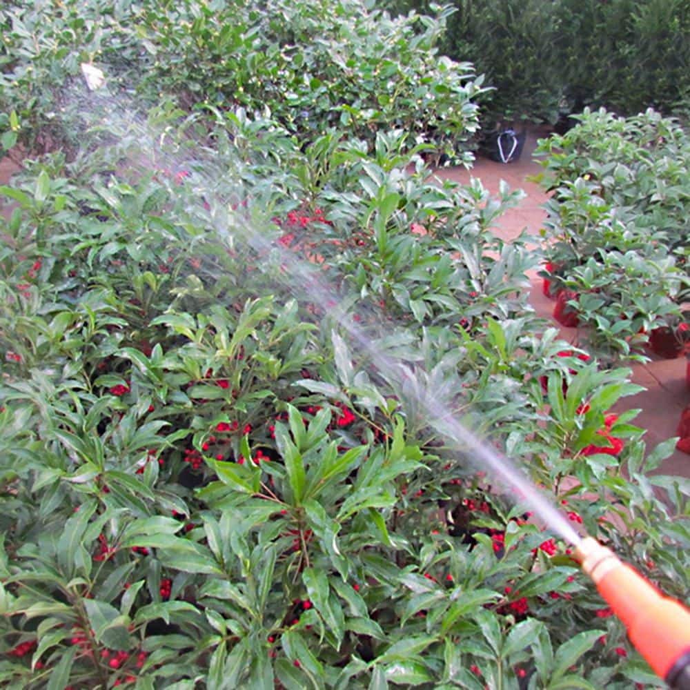 35 OZ Red and Black Handheld Pressure Sprayer with Adjustable Nozzle