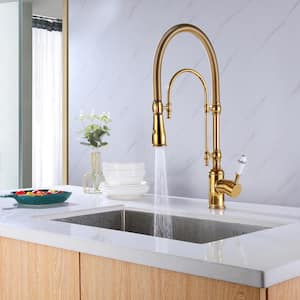 Single-Handle Spring Tube Pull-Down Sprayer Kitchen Faucet in Polished Gold