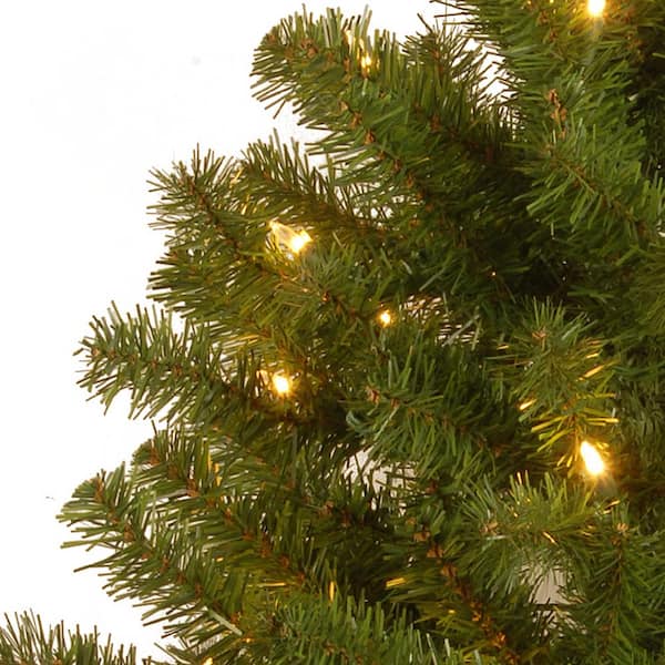 National Tree 3 Foot Eastern Spruce Tree with 50 Clear Lights ... Free Shipping 