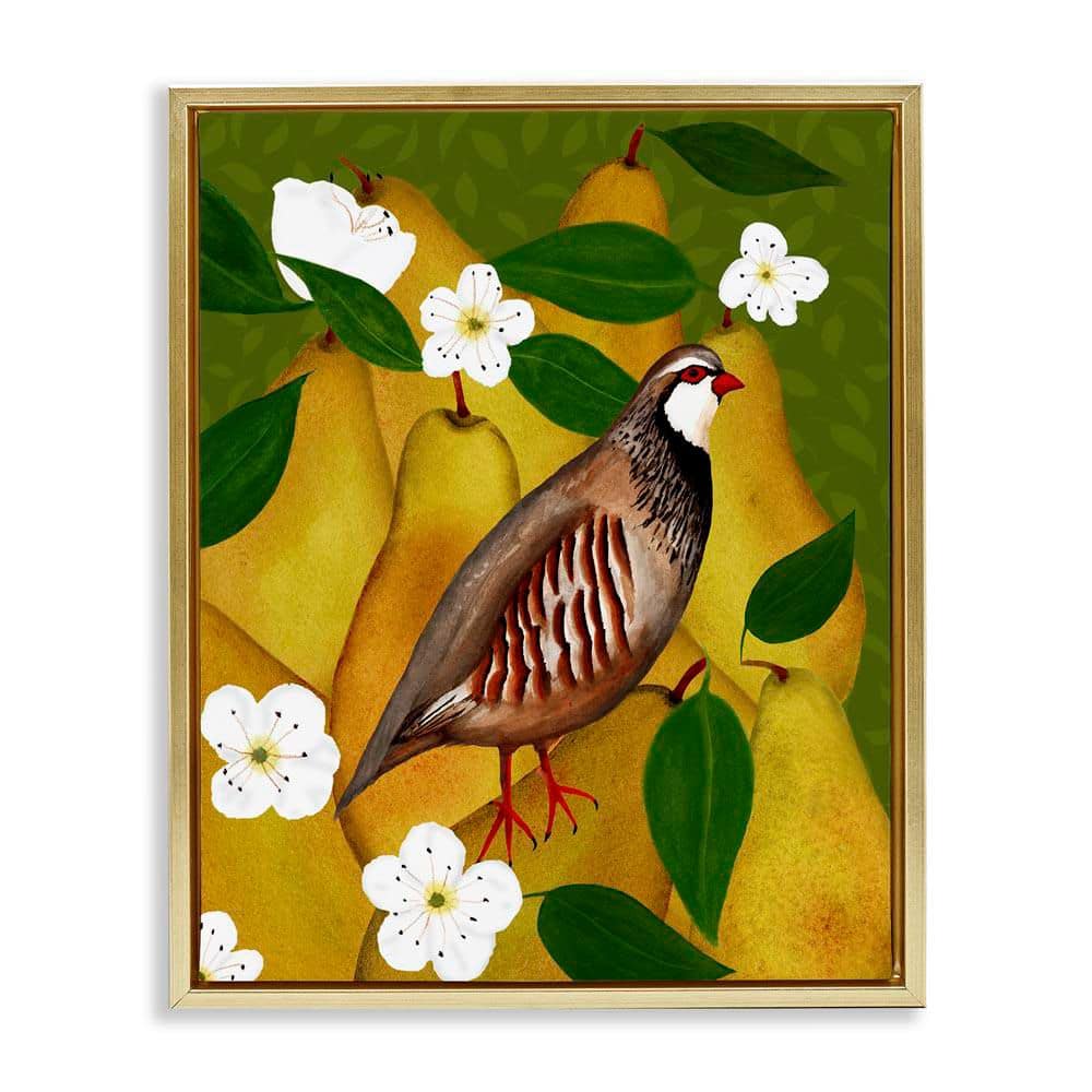 Partridge Bird and Pears by Michelle Ingari Designs Gold Floater Frame Food Graphic Art Print 21 in. x 17 in. price history on PriceWatchPro