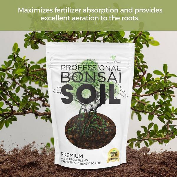 LEAVES AND SOUL Bonsai Soil Premium 8.2 qt. Ready to Use Lava, Limestone,  Fast Drainage, Plant Support B096WSWDHX - The Home Depot