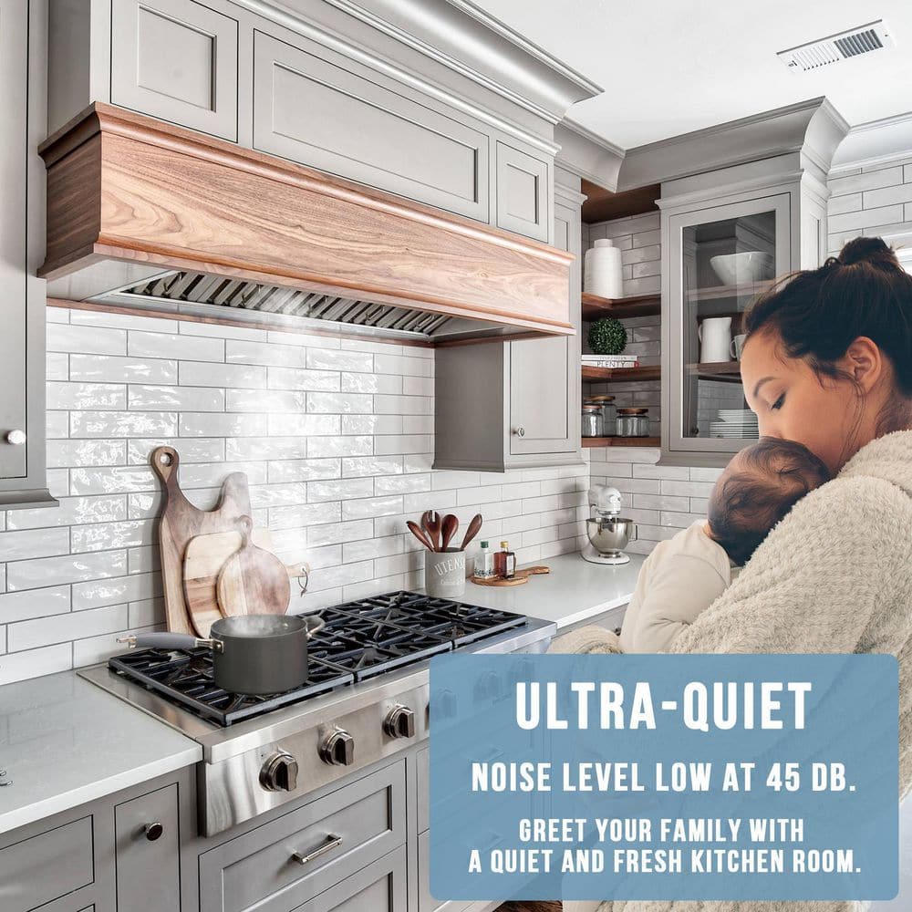 30" Stainless Steel Charcoal Filtered Insert Range Hood