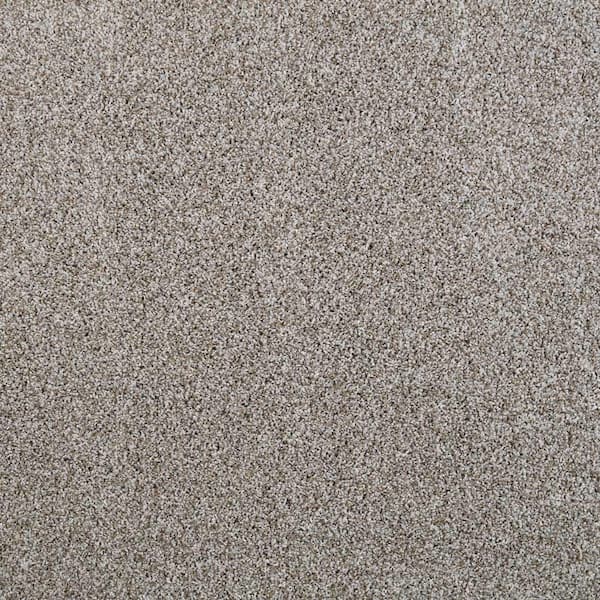 Lifeproof with Petproof Technology Barx II  - Mineral - Gray 56 oz. Triexta Texture Installed Carpet