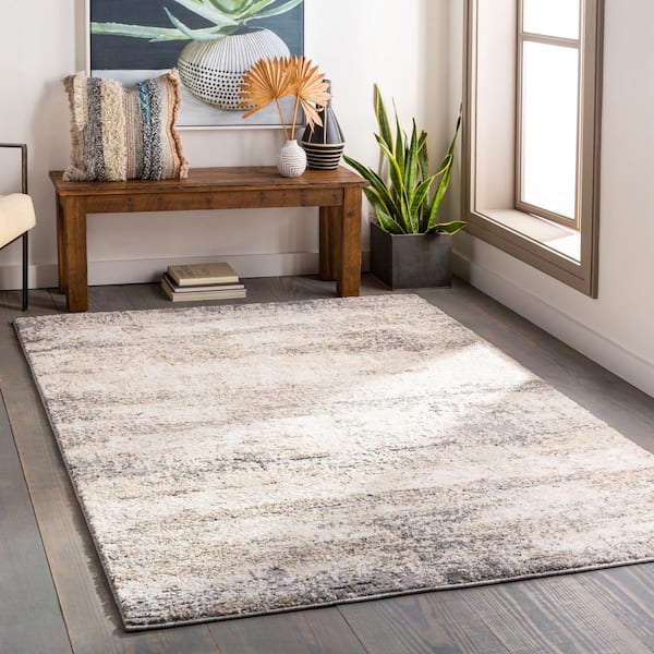 Paloma Medium Gray 5 ft. x 7 ft. Indoor Area Rug