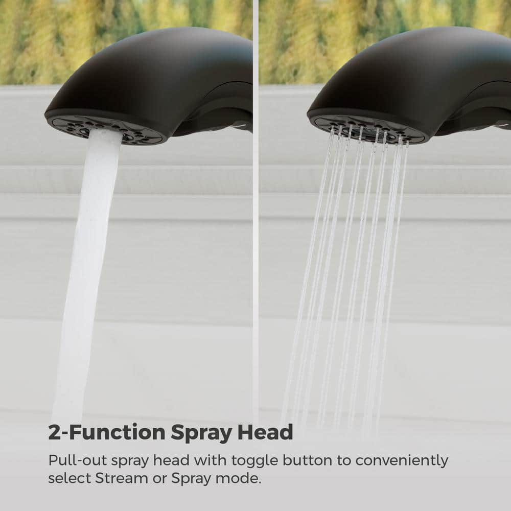 Matte Black Single Handle Pull-Out Kitchen Faucet