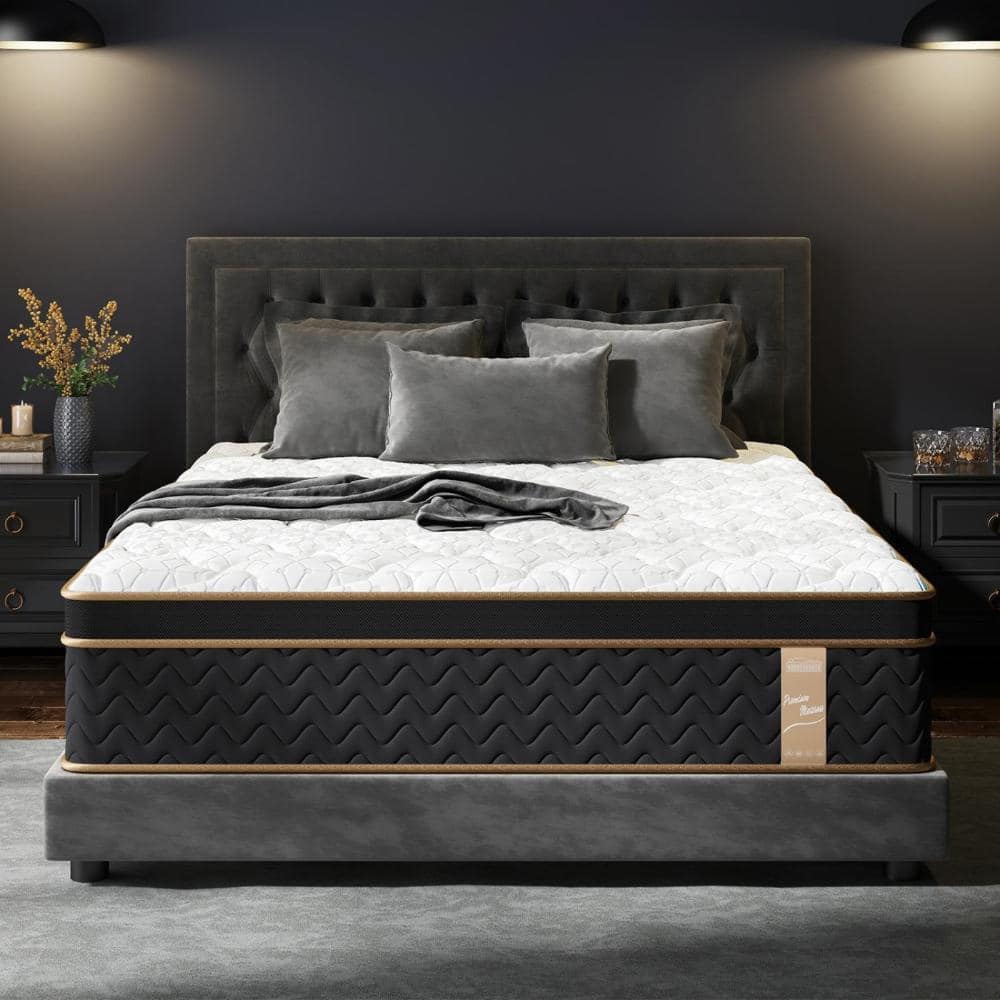 "10"" Queen Boxed Plush Hybrid Mattress Gel Foam Pocket Springs Edge Support" price history on PriceWatchPro