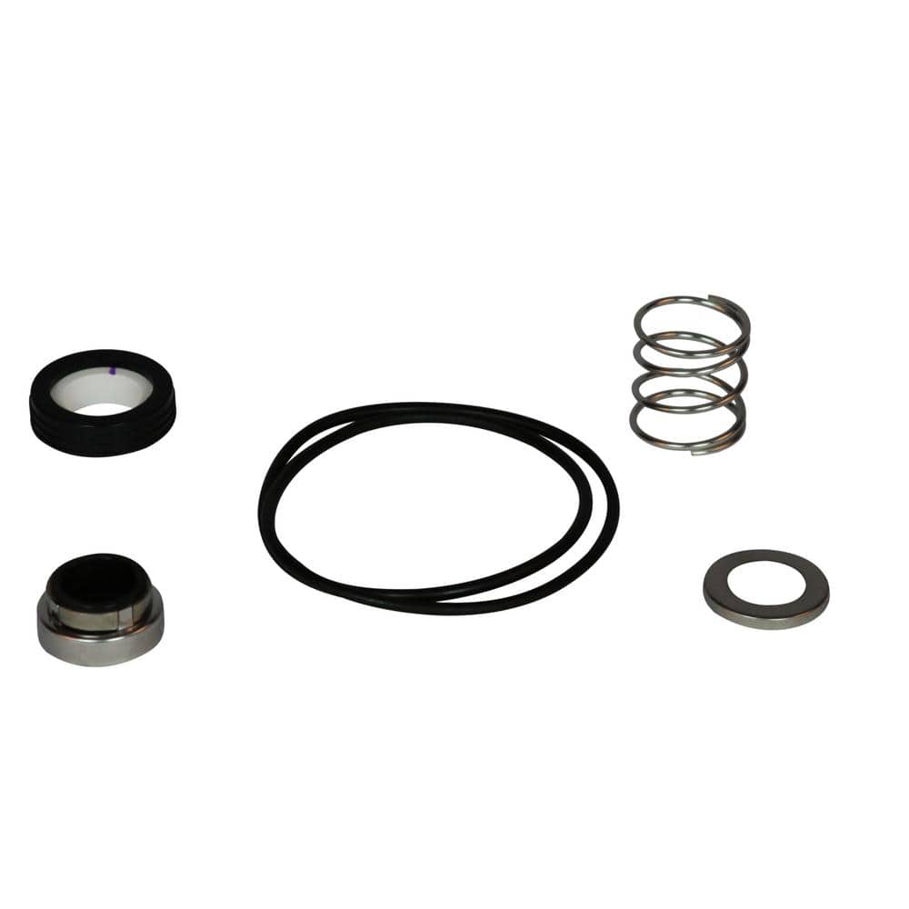 Wayne PLS100 Certified Replacement Shaft Seal and Gasket 64048-WYN1 - The  Home Depot