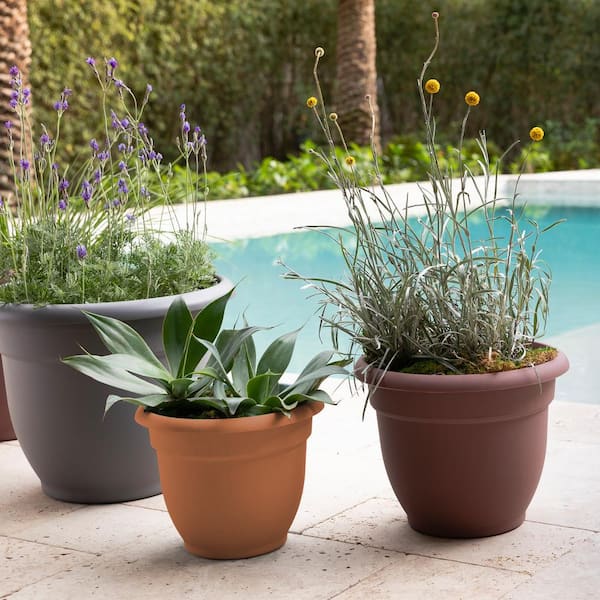 Bloem Bagz 11 in. H X 12 in. W Plastic Herb planter Flower Pot Living Green