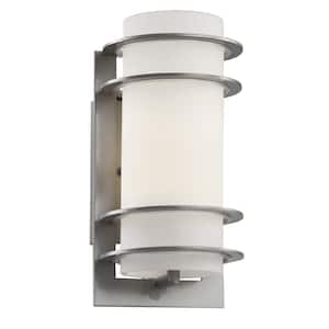 Zephyr 11 in. 1-Light Silver Cylinder Outdoor Wall Light Fixture with Frosted Glass