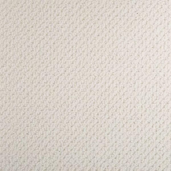8 in. x 8 in. Pattern Carpet Sample - Beyond Cozy -Color Comfy