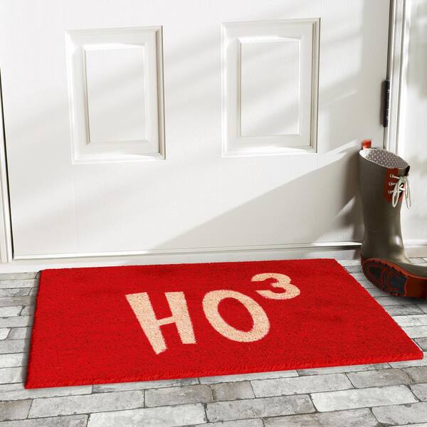 Christmas Door Mat Non-Slip and Washable Winter Doormat Indoor and Outdoor  for