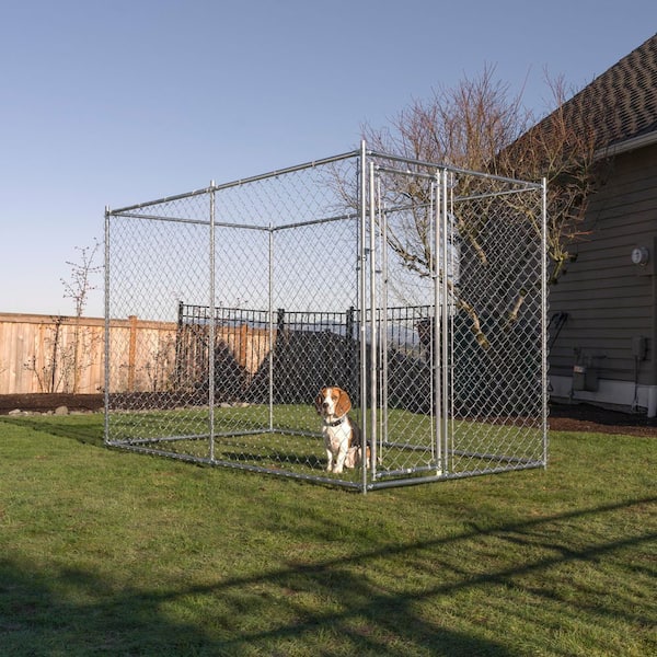 Lucky Dog 6 ft. H x 5 ft. W x 10 ft. L Galvanized Chain Link