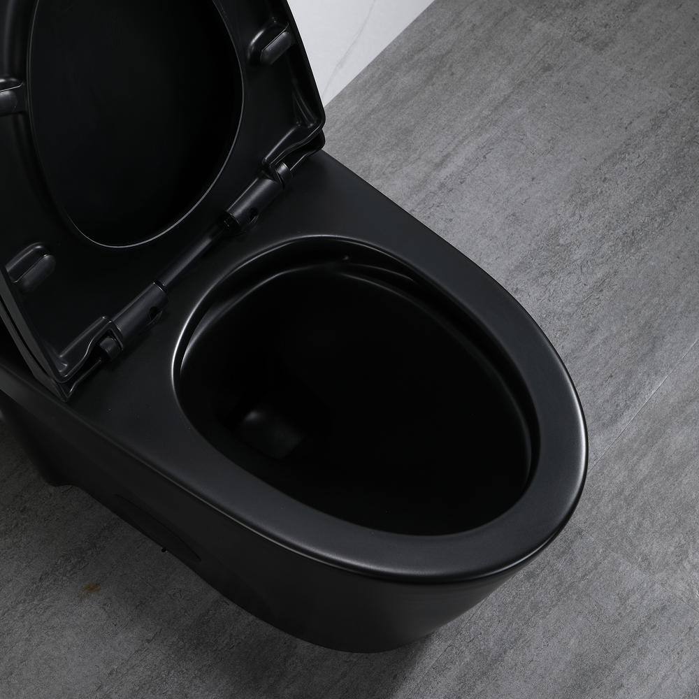 Matte Black Ceramic Elongated One-Piece Dual Flush Toilet