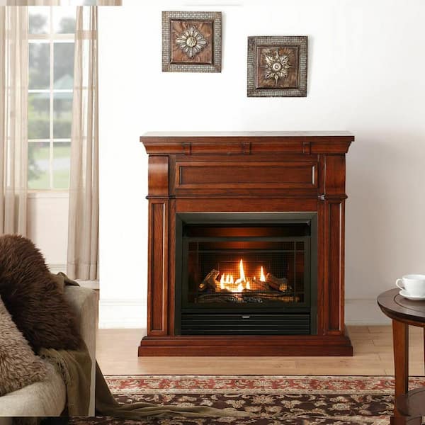 Duluth Forge Dual Fuel Ventless Gas Fireplace - 26,000 BTU, Remote Control,  Chestnut Oak Finish 170031 - The Home Depot