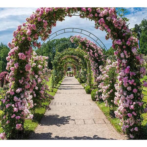 Garden Arbor Extra Wide