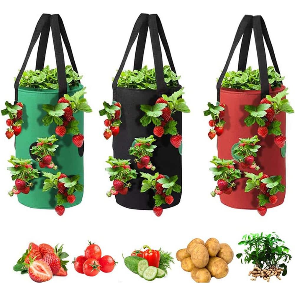 Strawberry Vegetable Rose Planting Bag 3 Gal. 12 Planting Holes Strong Hang