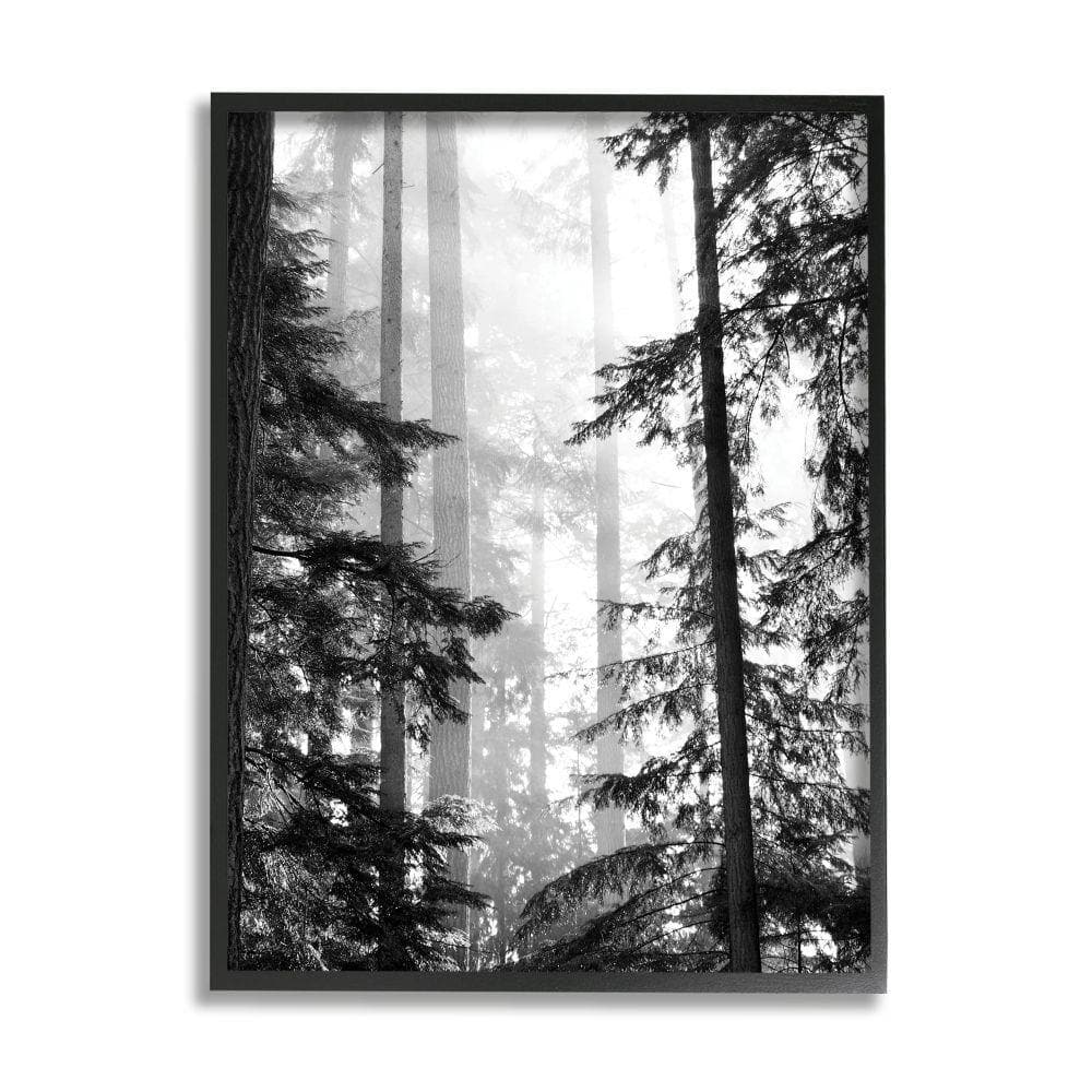 Black and White Forest Landscape Framed Print, 11 x 14