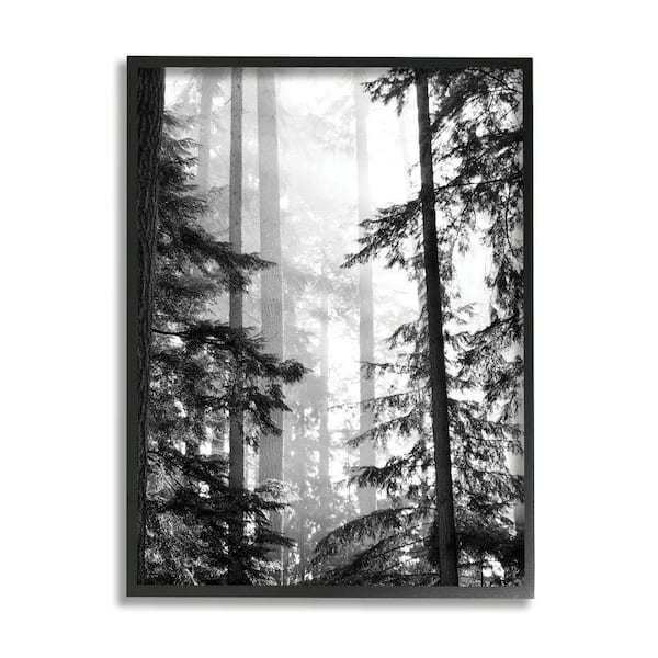 Light outlet in the Forest Trees Print