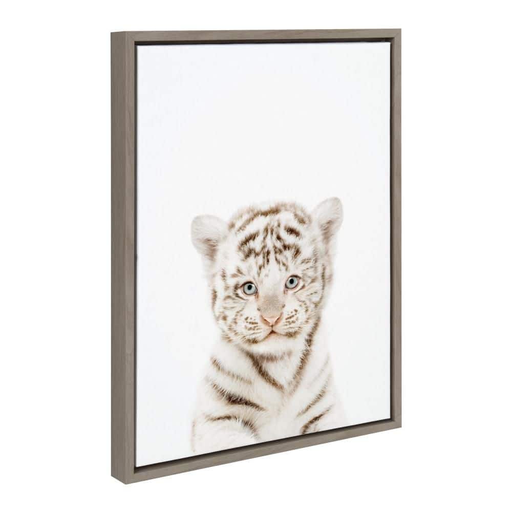 "Sylvie ""Animal Studio Baby White Tiger"" by Amy Peterson Art Studio Gray Framed Art Print 18 in. x 24 in." price history on PriceWatchPro